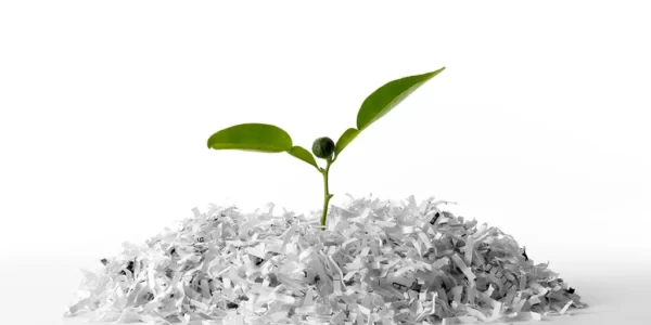 Epsilon Global Com - Mieux consommer le papier